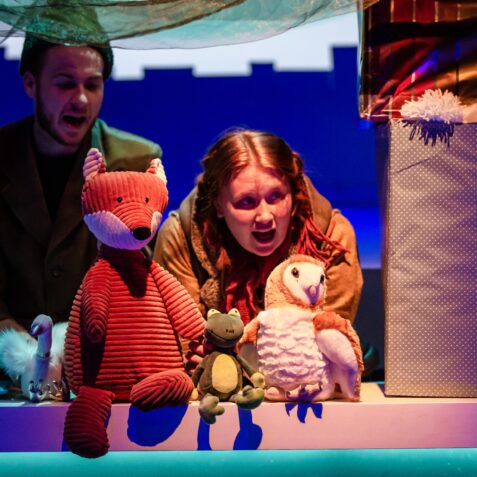 toucan theatre, naughty fox, children's theatre, Christmas show, Christmas theatre, SEN children, things to do near me, December, festive events, poplar union, East London, theatre for kids, baby theatre